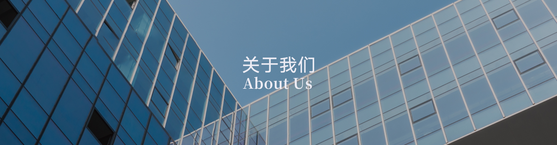 关于我们